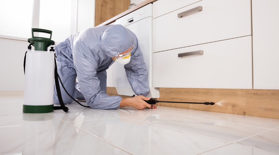 Common Pest Control Chemicals