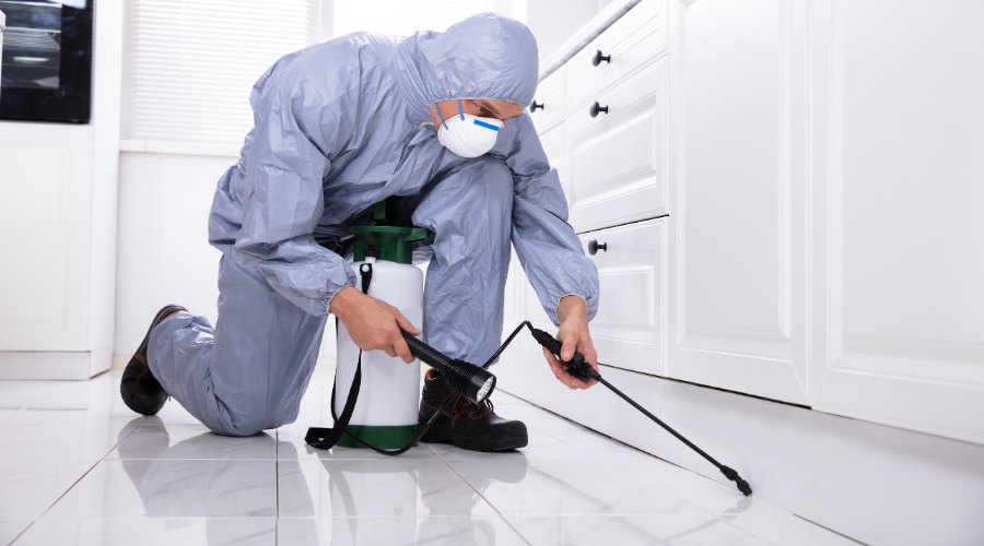 Pest Control Chemicals - What Do The Pros Use?