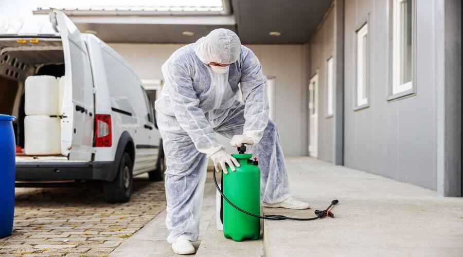 Pest Control Licensing and Regulations in Adelaide Pest Control