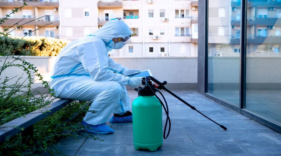 Pest Control Licensing and Regulations in Adelaide Pest Control