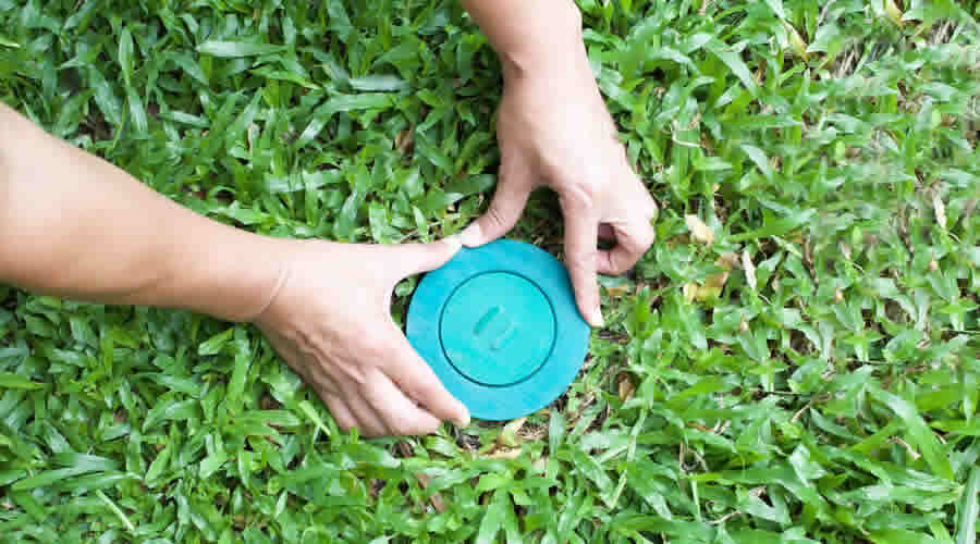 What Is Integrated Pest Management? What Is Integrated Pest Management?