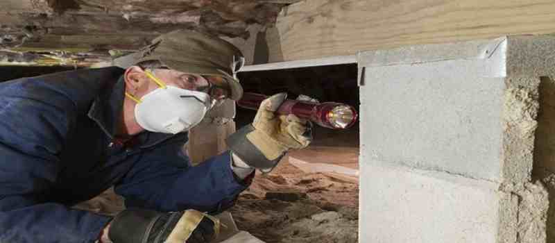 Termite Inspections Adelaide