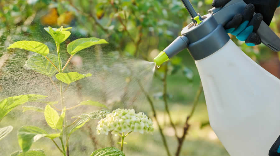 Your Guide To Eco-Friendly Pest Control Your Guide To Eco-Friendly Pest Control