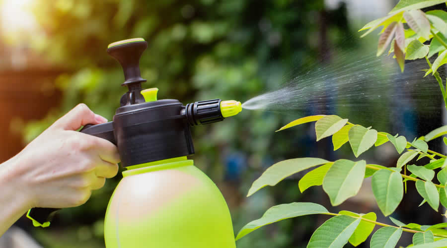 What Is Eco-Friendly Pest Control? What Is Eco-Friendly Pest Control?